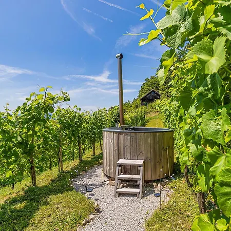 Holiday home Vineyard Cottages Skatlar - Happy *
