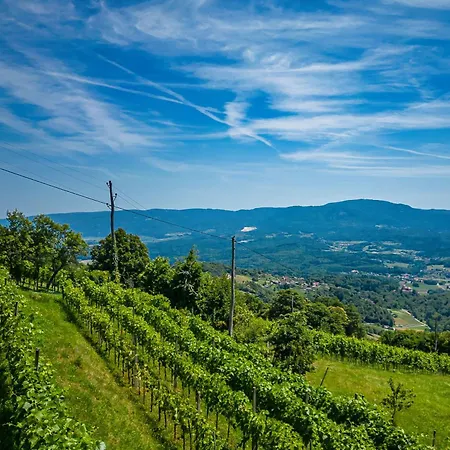 Vineyard Cottages Skatlar - Happy Holiday home *