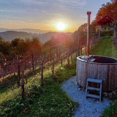 Vineyard Cottages Skatlar - Happy * Otocec