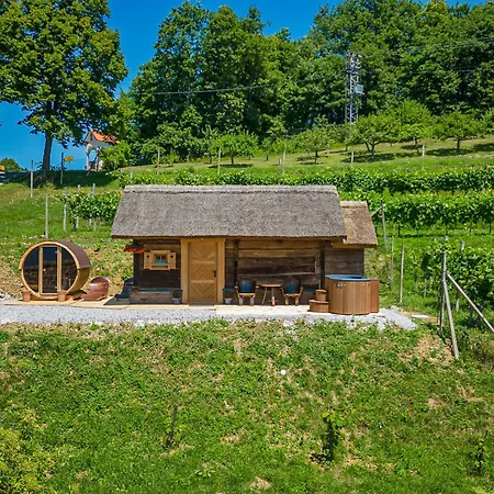 Holiday home Vineyard Cottages Skatlar - Happy Otocec